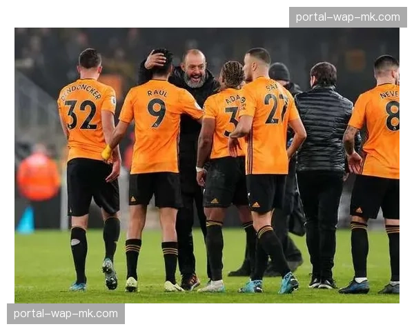 观点：英超保级混战分析，埃弗顿、布伦特福德与森林的生存几率